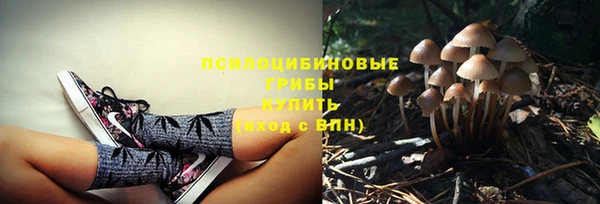 кокаин перу Богданович