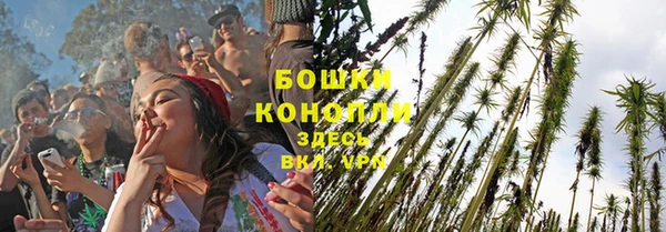 амф Богородск