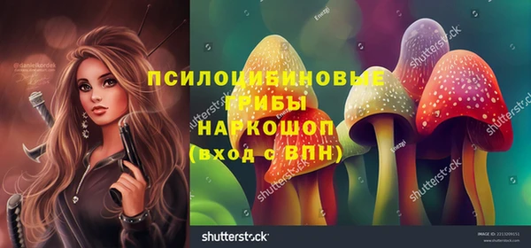 кокаин перу Богданович