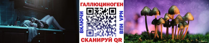 наркота Можга mega ссылка Галлюциногенные грибы Cubensis